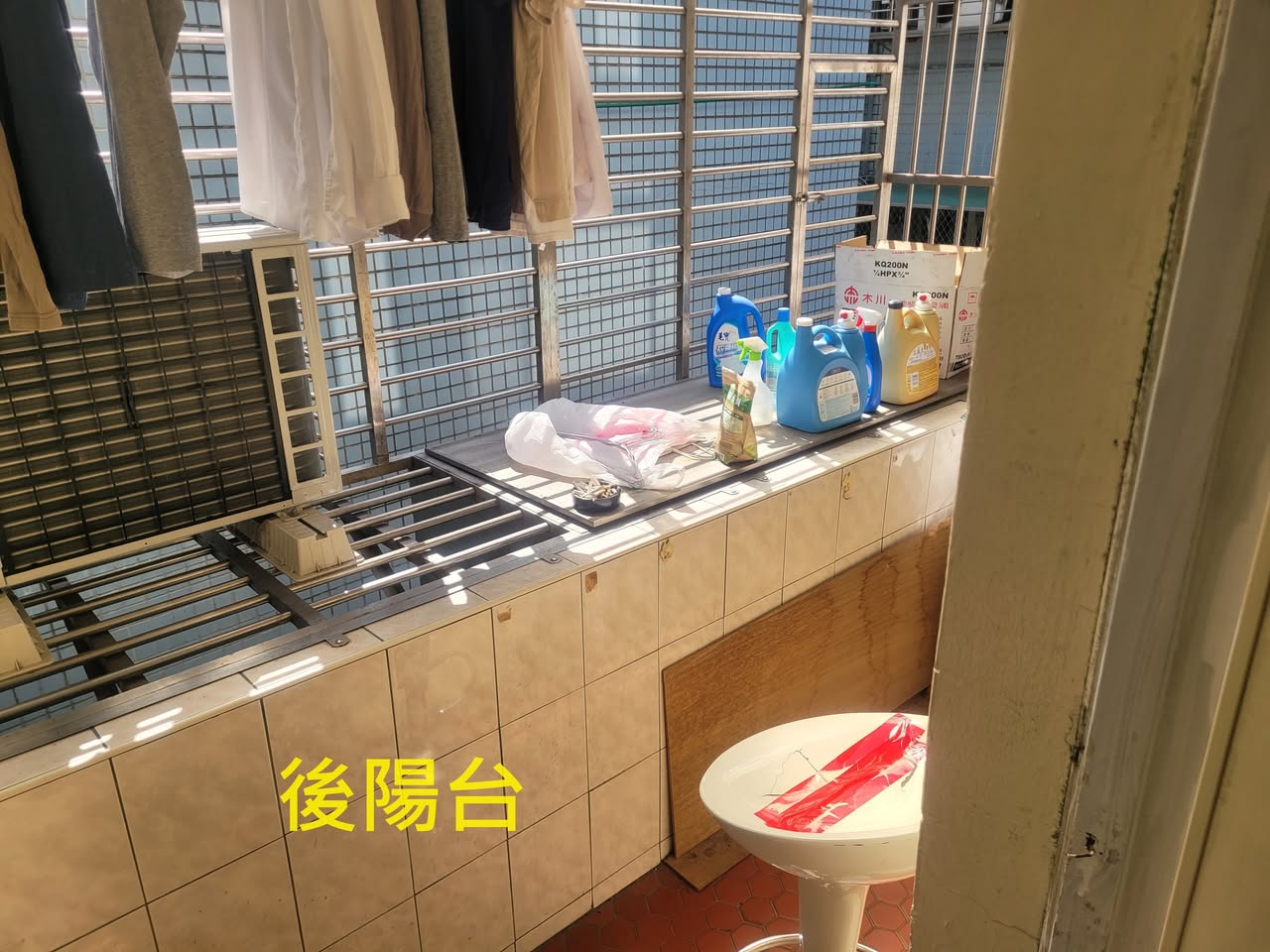 【信義區找人一同分租｜次臥一間｜可養貓】
